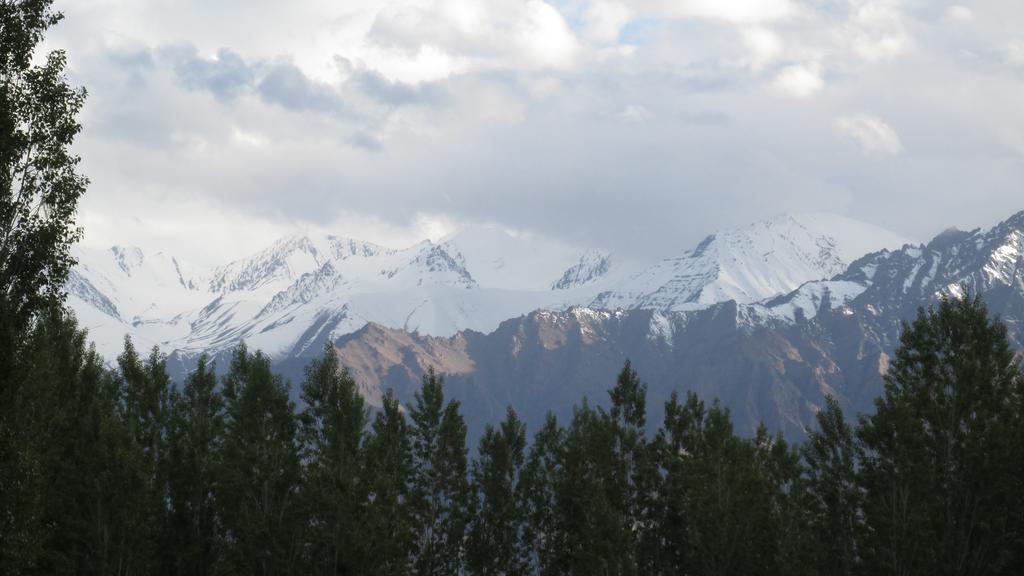 Streamlet Homestay Léh Exteriér fotografie